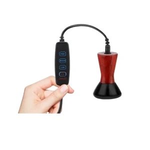 Appareil de massage chauffant Gua Sha