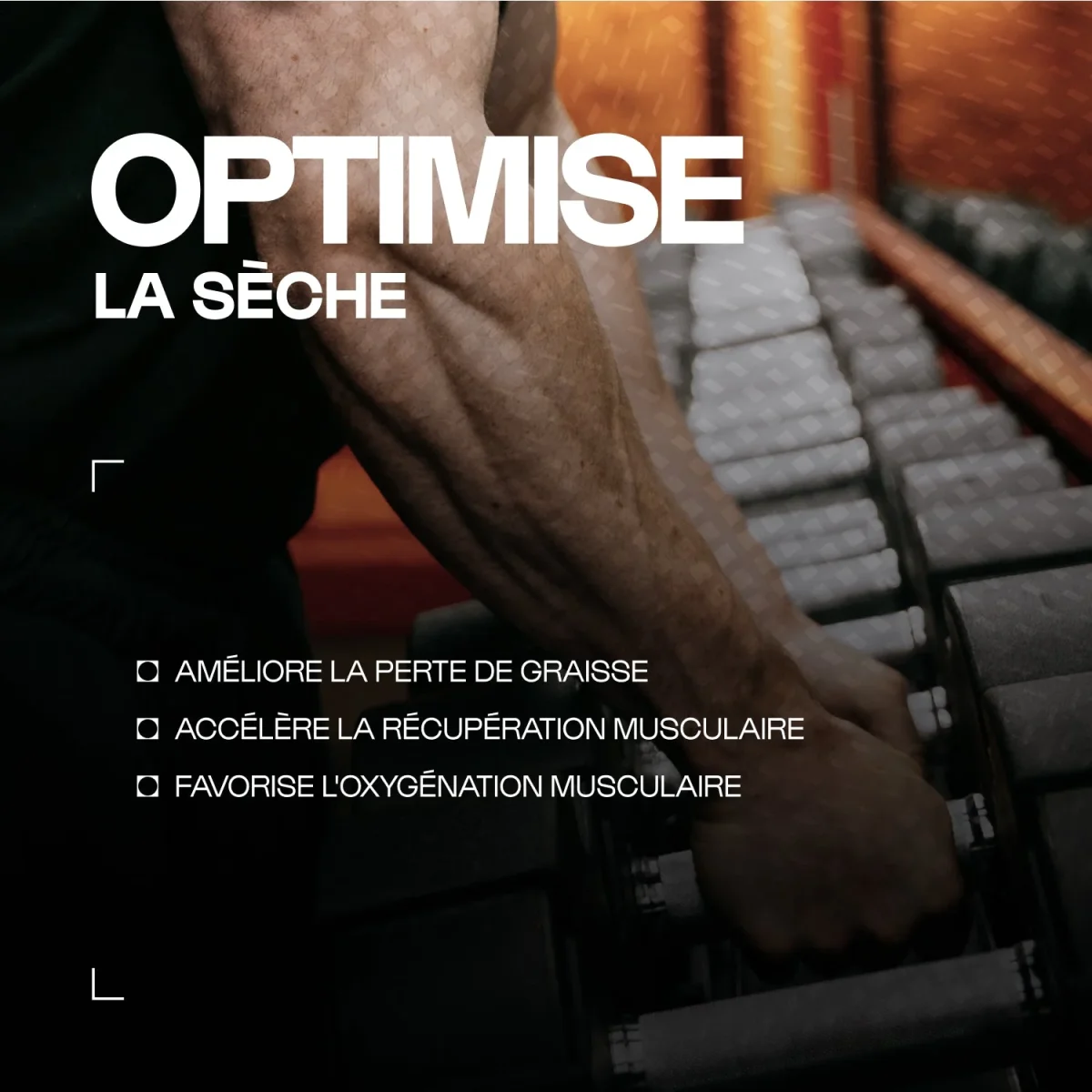 Carnitine Carnipure® en gélules – Image 3