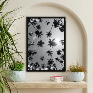 Tableau photographie palmiers en contre-plongée noir et blanc