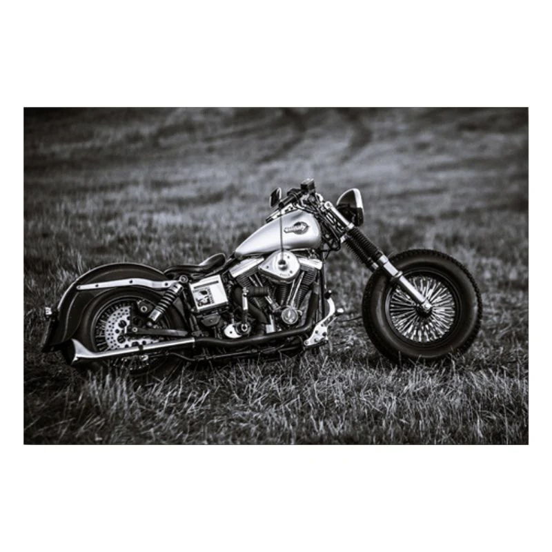 Tableau Harley Davidson – Image 5