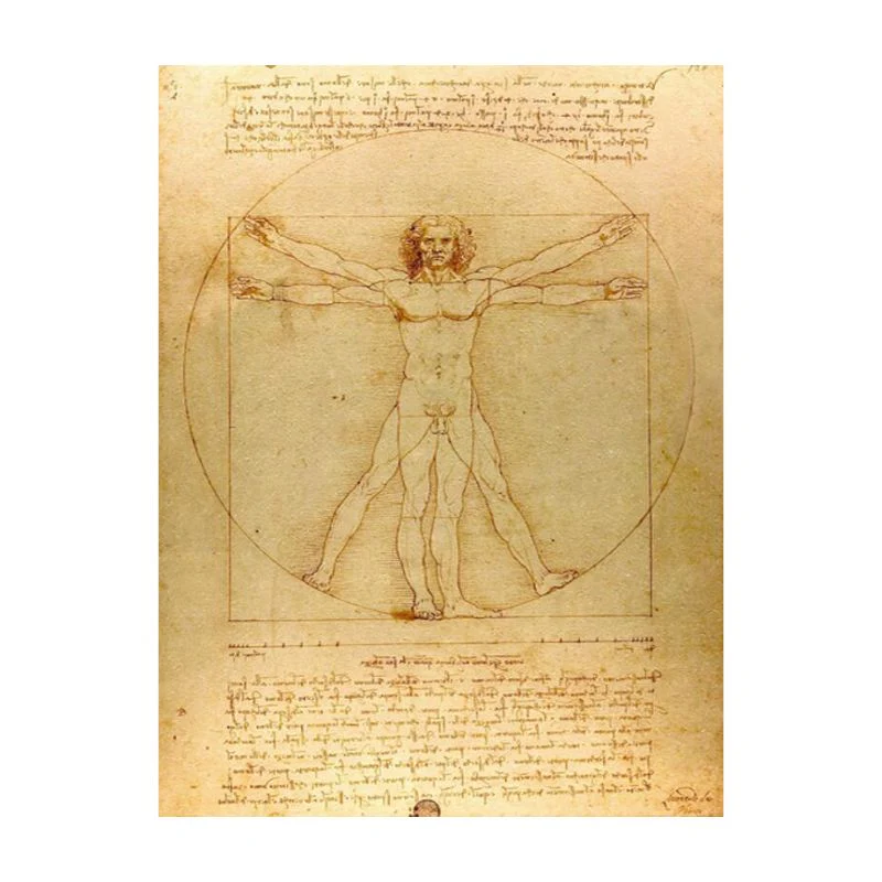 Tableau L'homme de Vitruve - Léonard de Vinci – Image 6