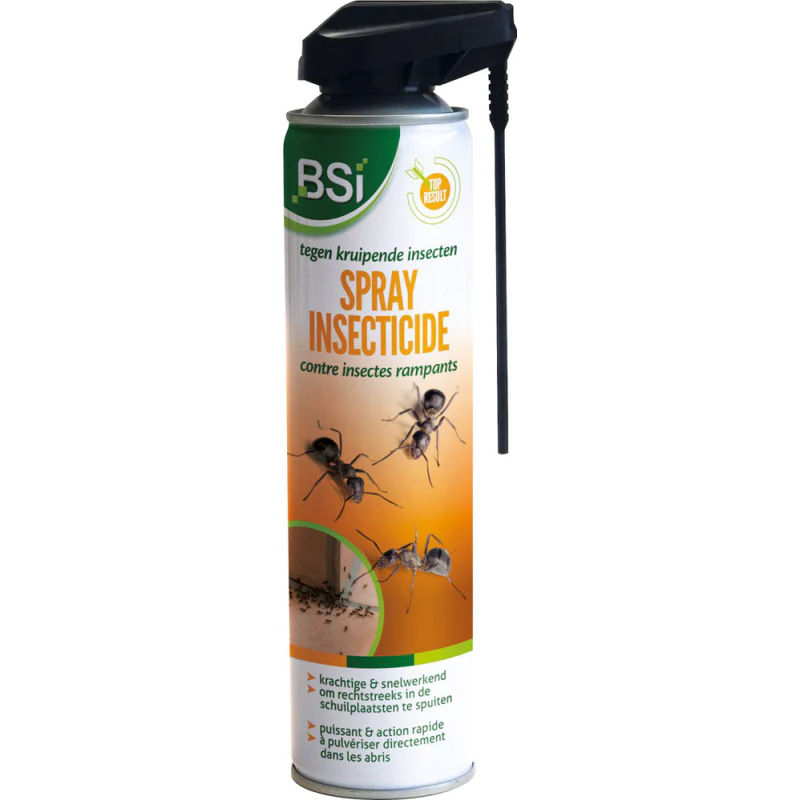 AEROSOL INSECTICIDE CONTRE INSECTES RAMPANTS - 400ML BSI – Image 2