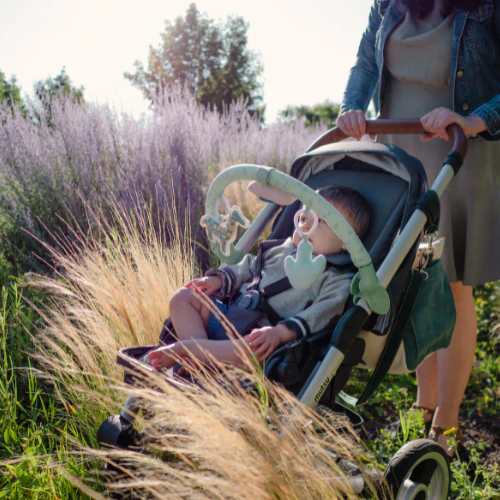 Arche d'activités universelle – Image 5