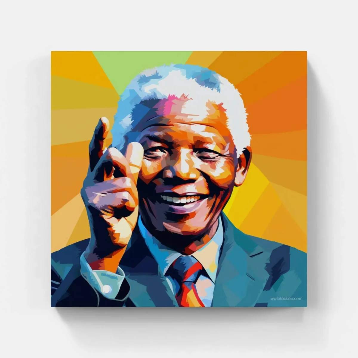 Nelson Mandela fight – Image 7