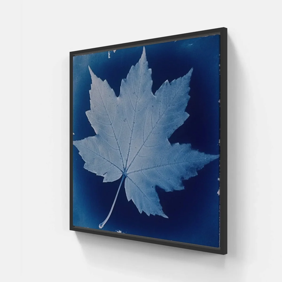 Cyanotype love – Image 3