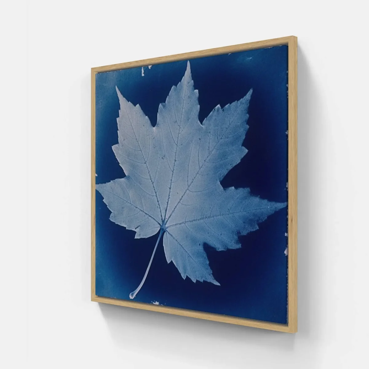 Cyanotype love – Image 6