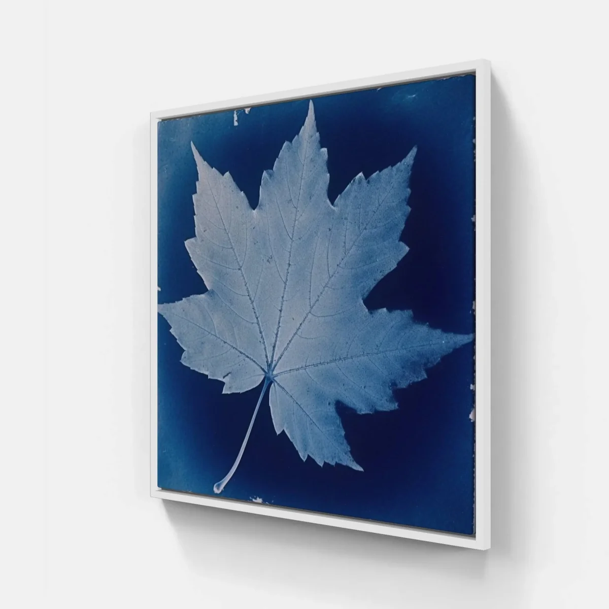 Cyanotype love – Image 5