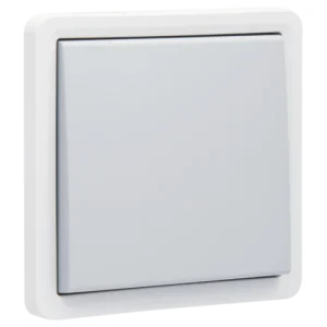 Interrupteur permutateur, étanche aux projections d'eau 10 AX/250 Vac avec bornes à vis, grey Niko (700-31700)