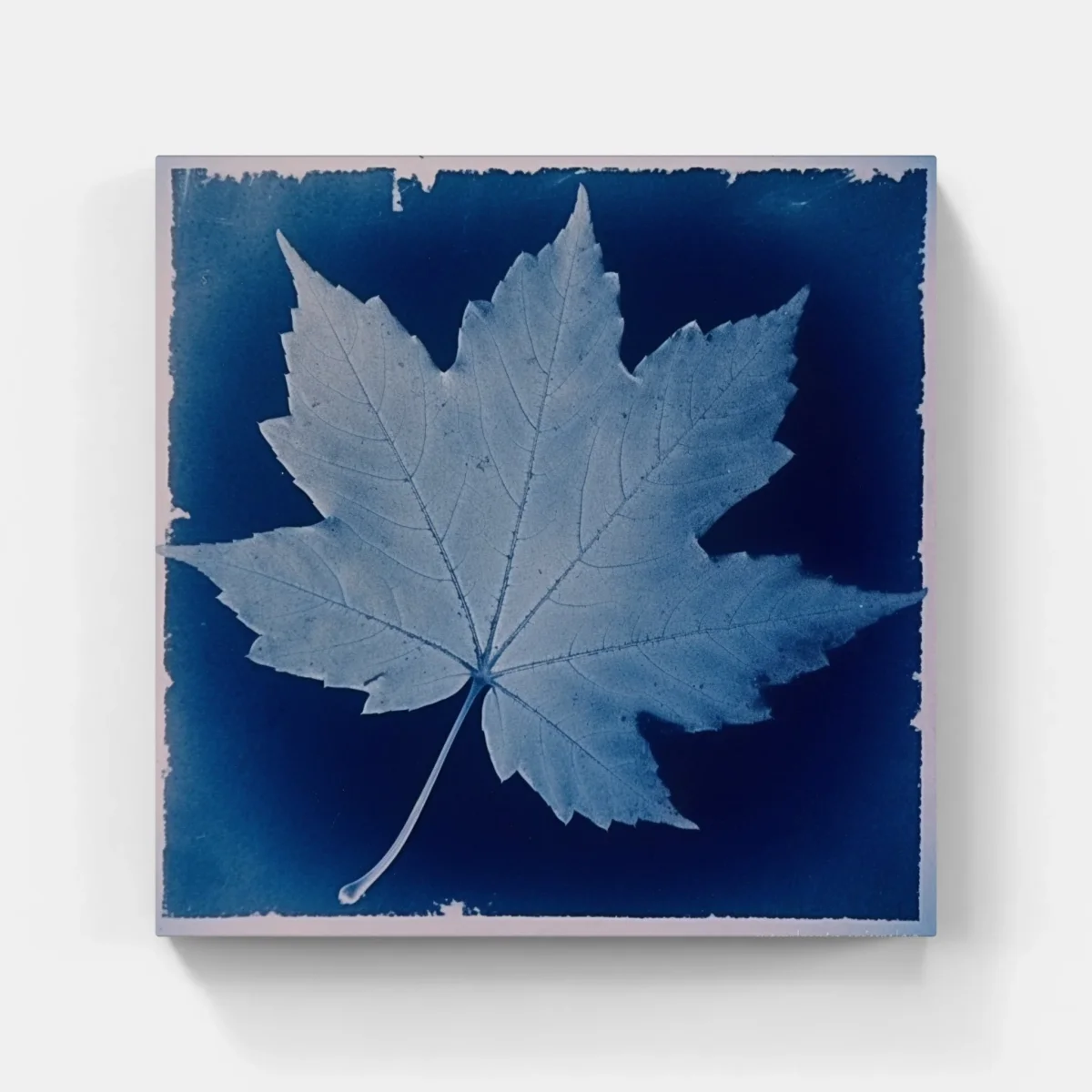 Cyanotype love – Image 7