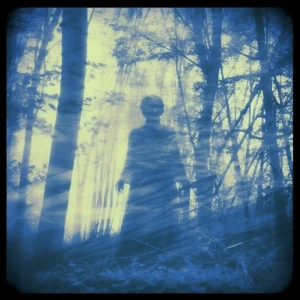 Vintage Cyanotype Elegance