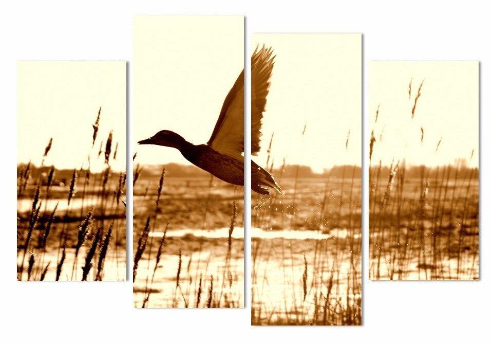 Tableau Canard migrateur – Image 5