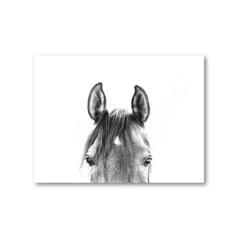 Tableau tête de cheval – Image 3