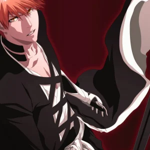 Tableau Bleach Guerrier Aux Cheveux