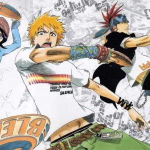Tableau Bleach Personnages Frisbee Dynamique