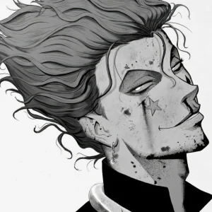 Tableau Hunter X Hunter Visage Etoile Souriant