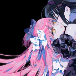 Tableau Magi Madoka Magica Etreinte Mysterieuse Sombre