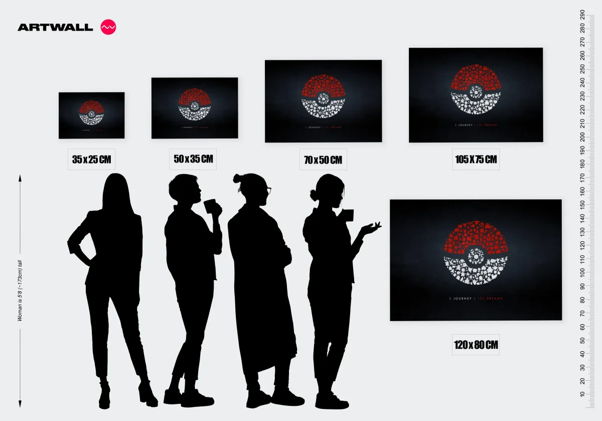 Tableau Pokemon Pokeball Silhouettes – Image 3