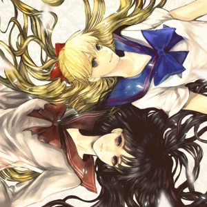 Tableau Sailor Moon Cheveux Entrelaces Duo