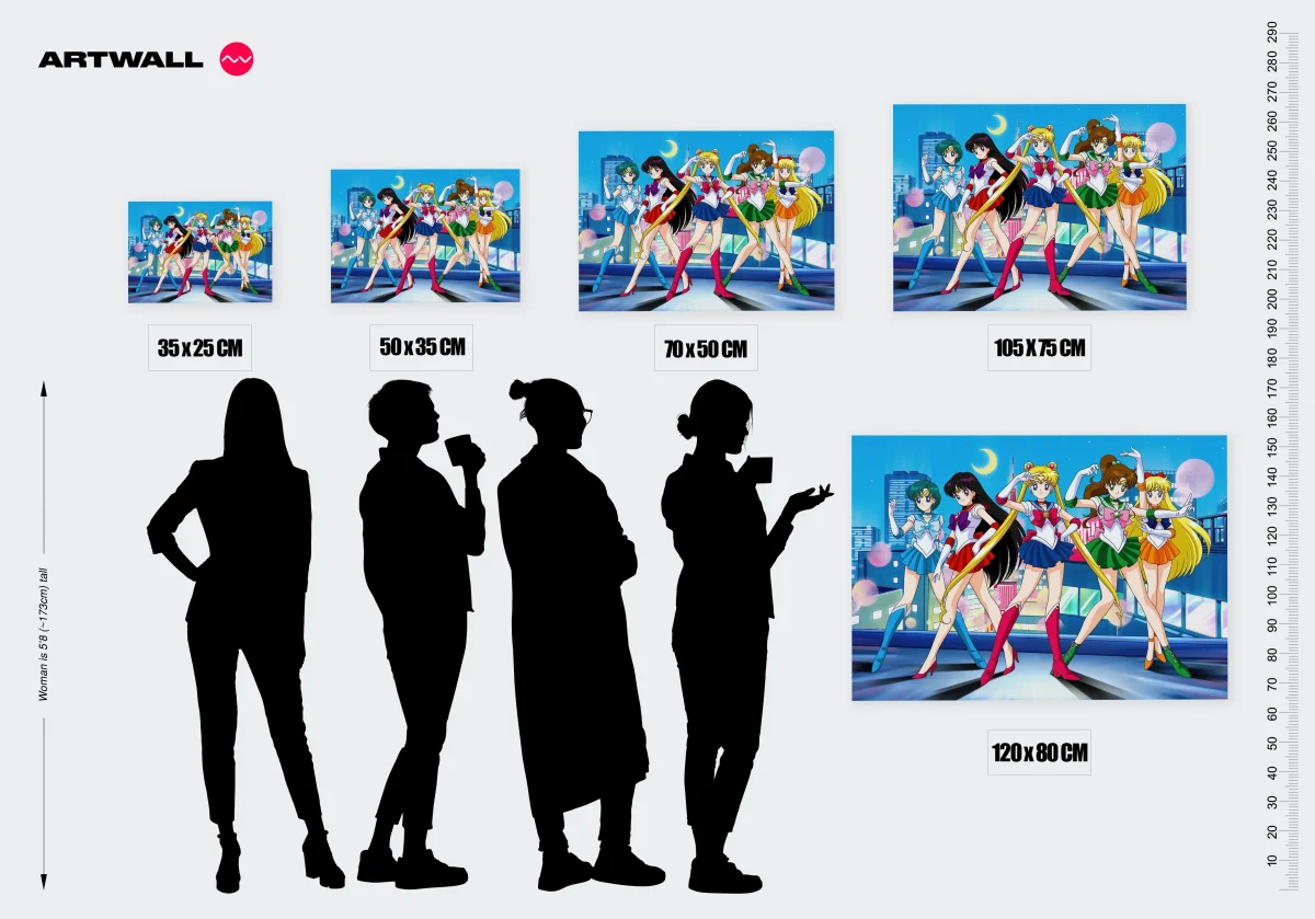 Tableau Sailor Moon Guerrieres Lunaires Unies – Image 3