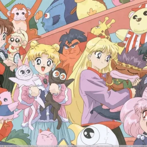 Tableau Sailor Moon Personnages Et Peluches